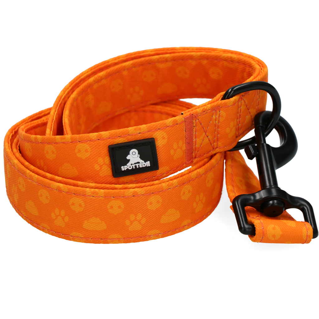 SPOTTED! PRO LEASH ORANGE 120CM