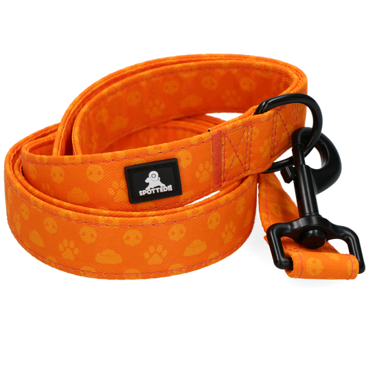 SPOTTED! PRO LEASH ORANGE 120CM