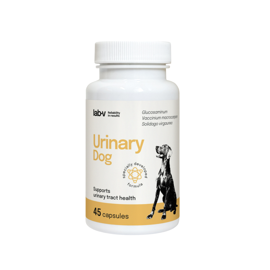 LAB V URINARY DOG 45 KAPSUŁEK
