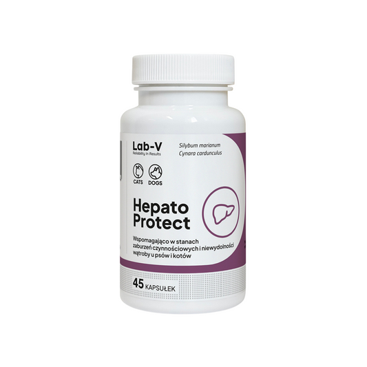 LAB V HEPATO PROTECT 45 KAPSUŁEK