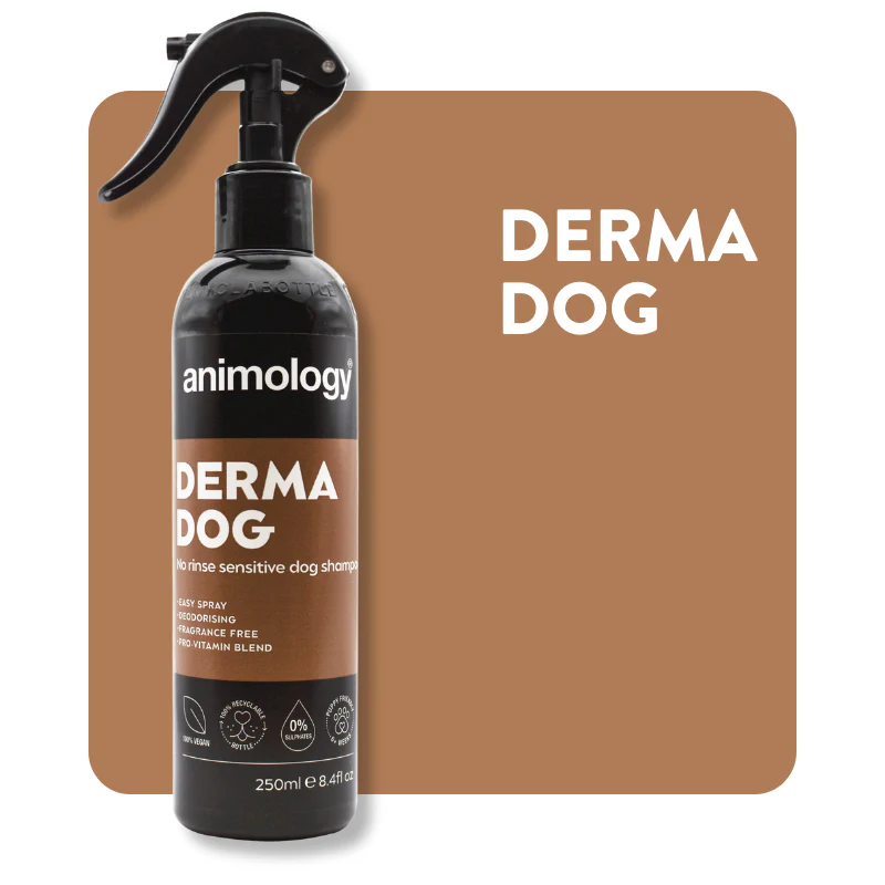 ANIMOLOGY DERMA DOG SHAMPOO - SZAMPON DO WRAŻLIWEJ SKÓRY PSA