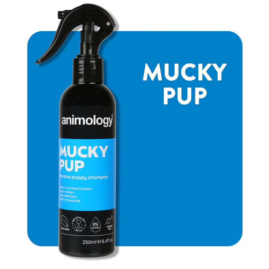 ANIMOLOGY MUCKY PUP NO RINSE SHAMPOO - SUCHY SZAMPON DLA SZCZENIĄT