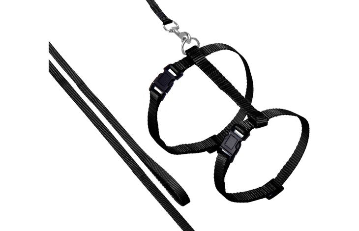 FLAMINGO CAT HARNESS WITH LEASH ZIGGI BLACK 22-36CM 27-46CM 110CM 10MM