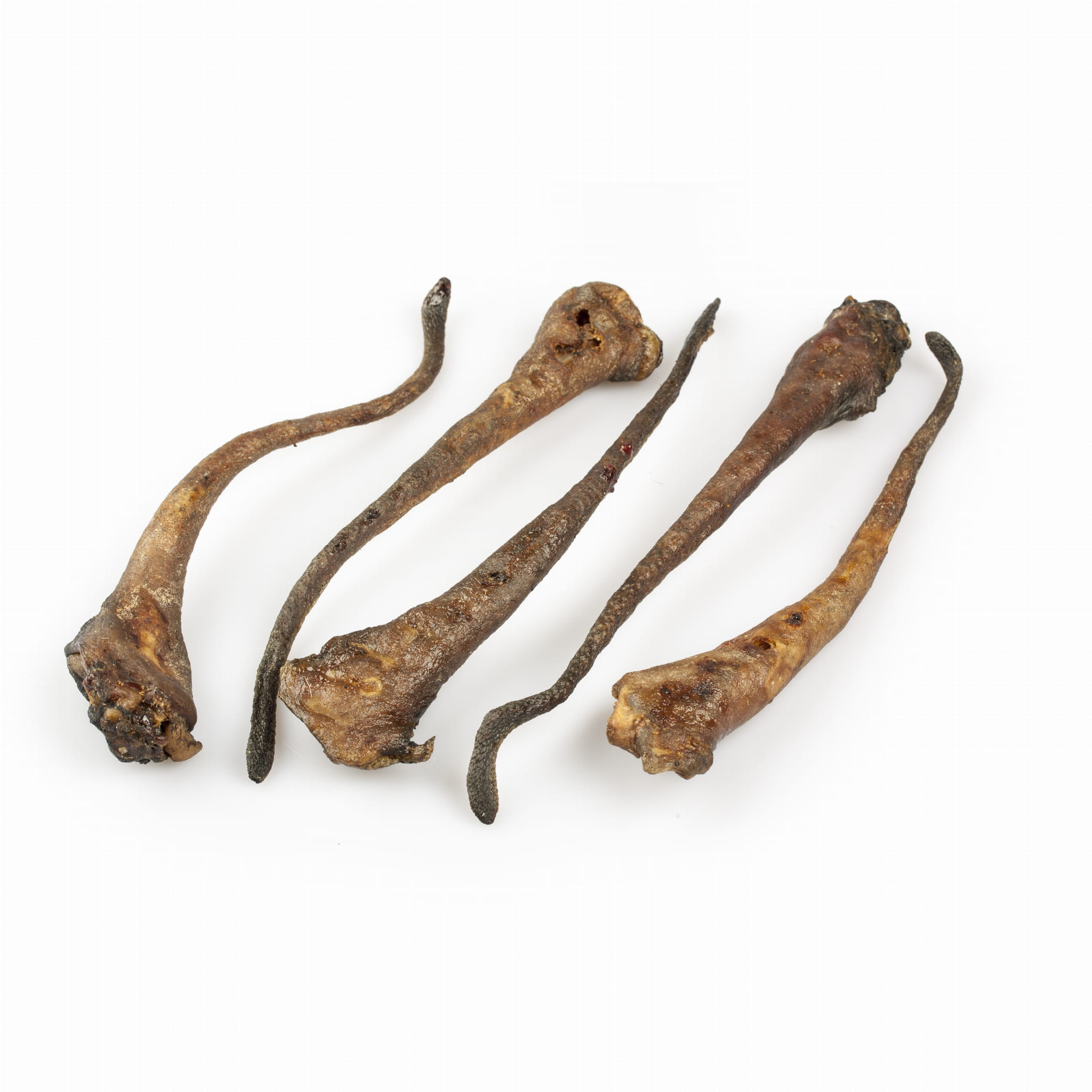 BALTO GRYZAK DLA PSA OGONEK DZIKA 250G