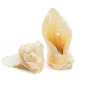 MEATSTUFF GRYZAK DLA PSA UCHO WOŁOWE MIODOWE 1SZT