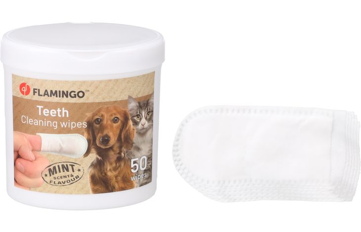 FLAMINGO CLEANING WIPES FOR TEETH REINI FINGER MINT 50PCS