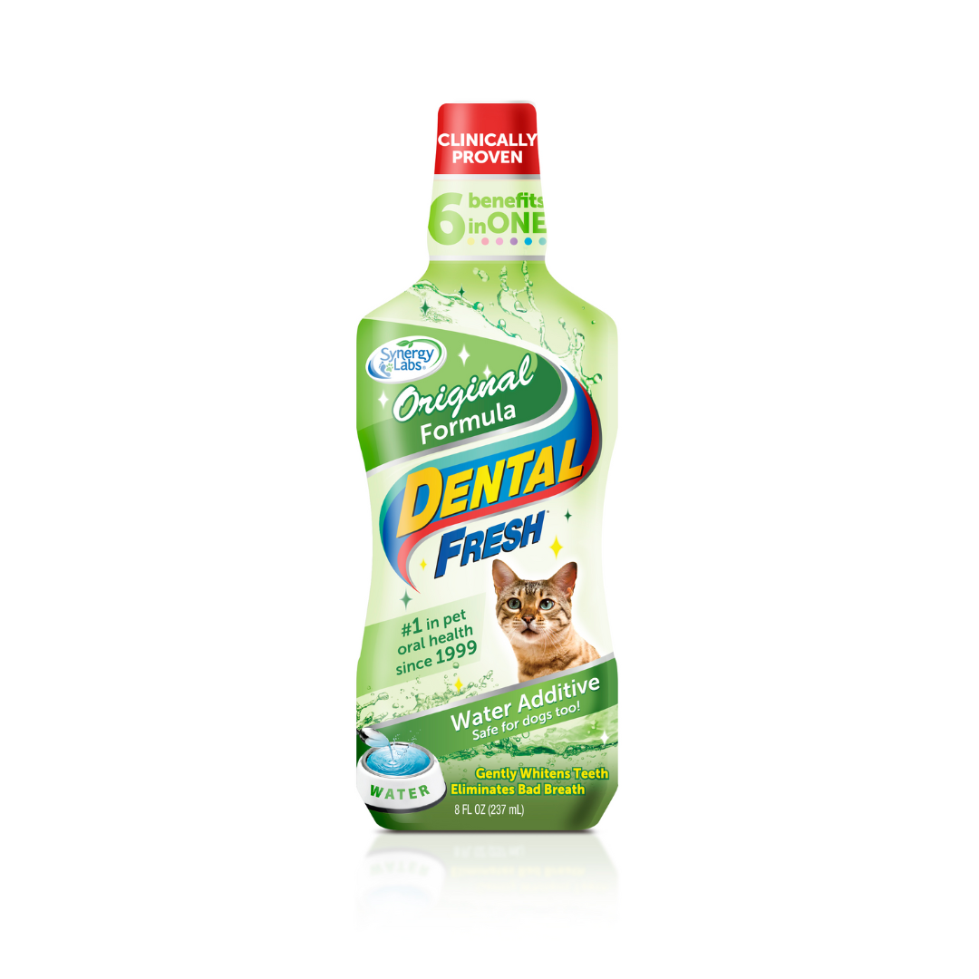 SYNERGY LABS DENTAL FRESH CAT 237ML