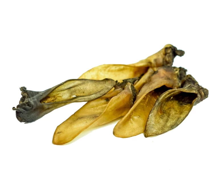 BALTO GRYZAK DLA PSA UCHO BARANIE 2SZT