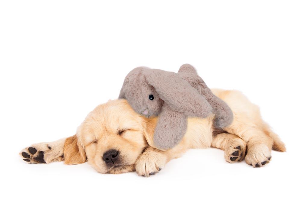 COZY DOG BUNNY BROWN - PLUSZAK Z BIJĄCYM SERDUSZKIEM
