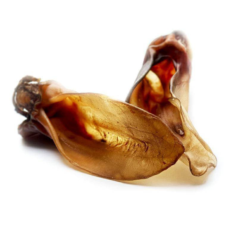 BALTO GRYZAK DLA PSA UCHO CIELĘCE 2SZT