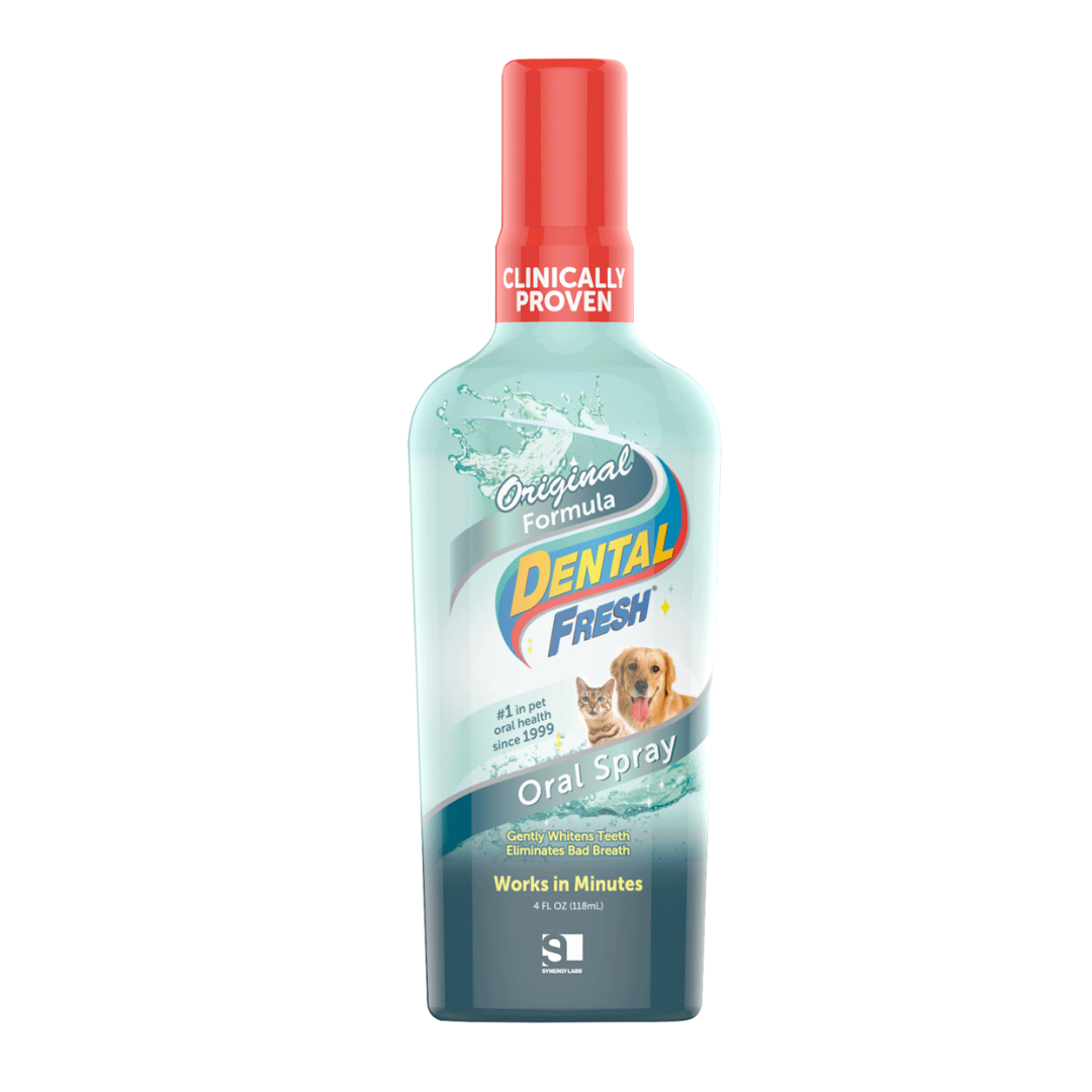 SYNERGY LABS DENTAL FRESH SPRAY 118ML