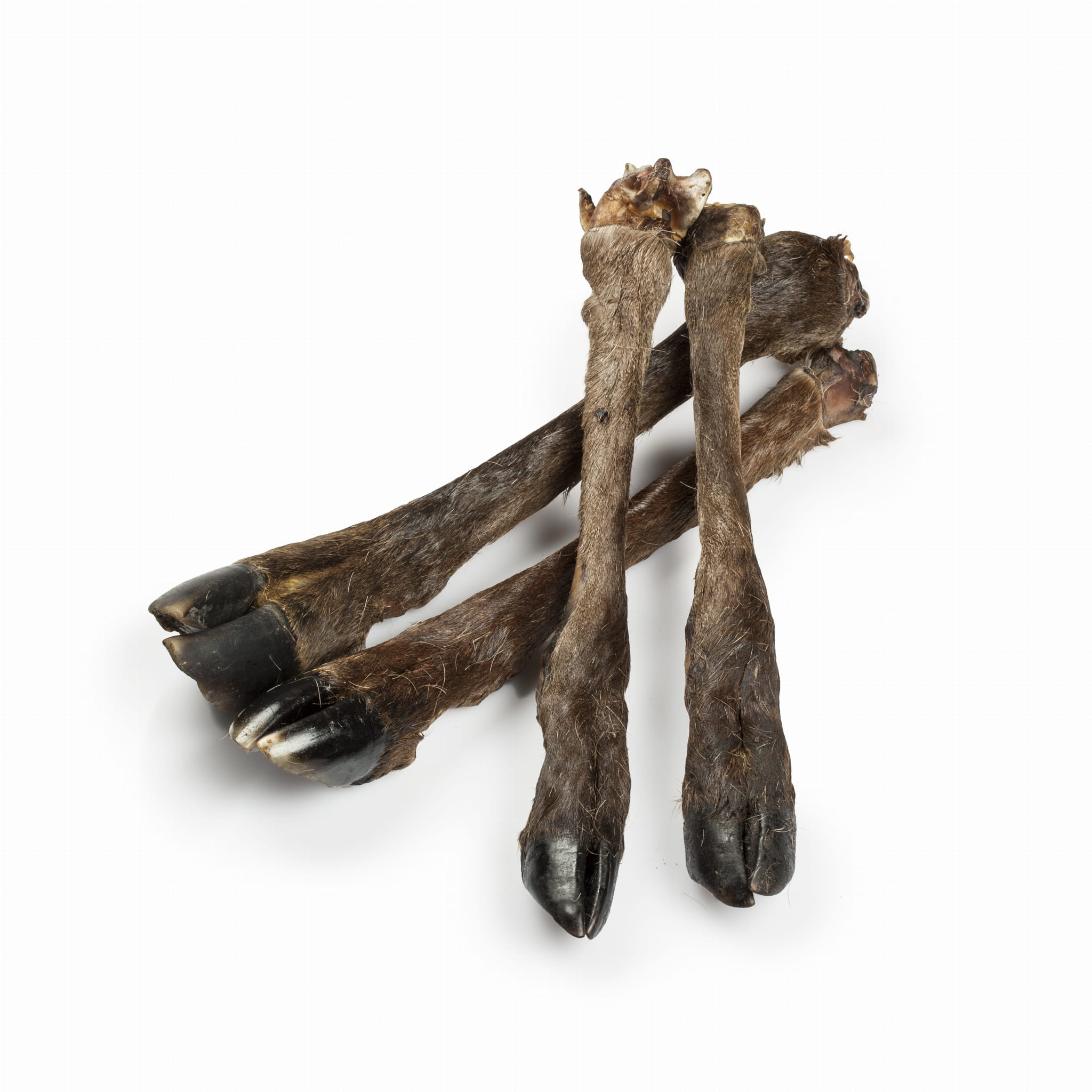 BALTO GRYZAK DLA PSA RACICA JELENIA Z FUTREM 1SZT