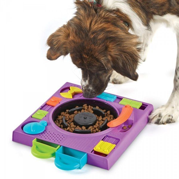 BRIGHTKINS DJ DOGOO PUZZLE FEEDER