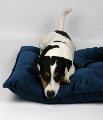 FABVELVET LEGOWISKO DLA PSA, WYMIARY 80/60 CM, VELVET TAPICERSKI - GRANATOWY