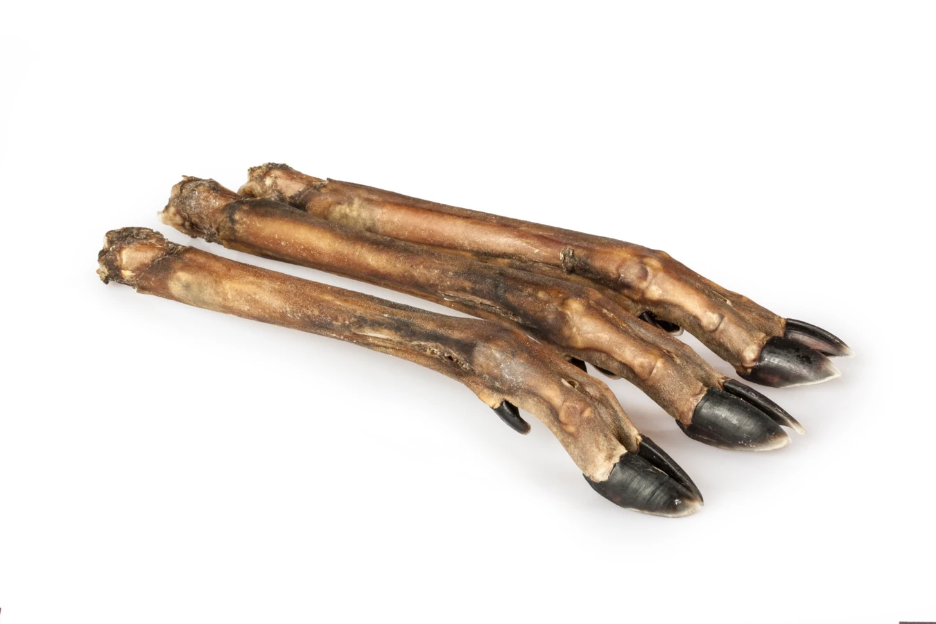 BALTO GRYZAK DLA PSA RACICA SARNY 2SZT