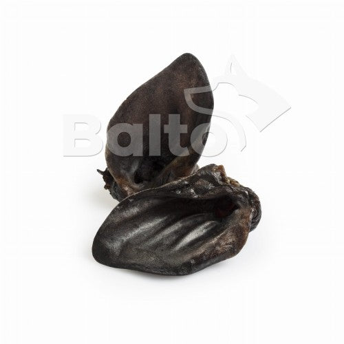 BALTO GRYZAK DLA PSA UCHO DZIKA 2SZT