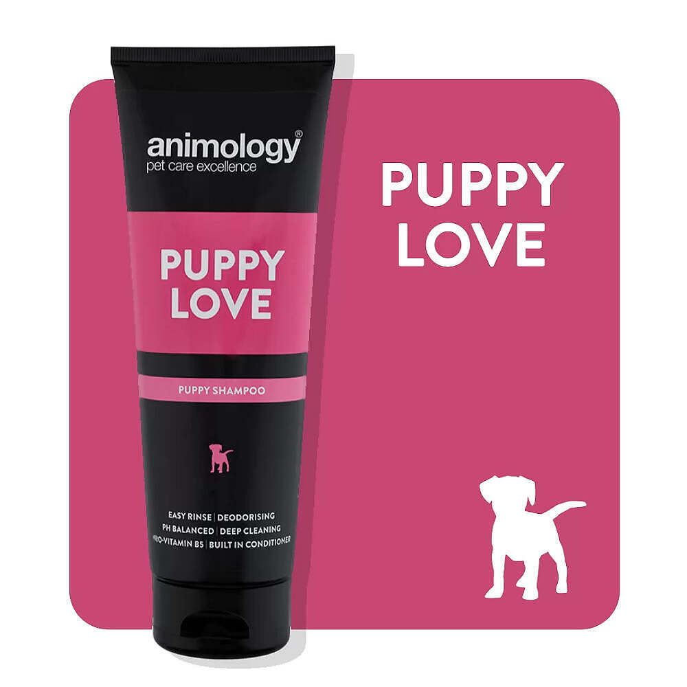 ANIMOLOGY PUPPY LOVE SHAMPOO 250ML - DELIKATNY SZAMPON DLA ZWIERZĄT