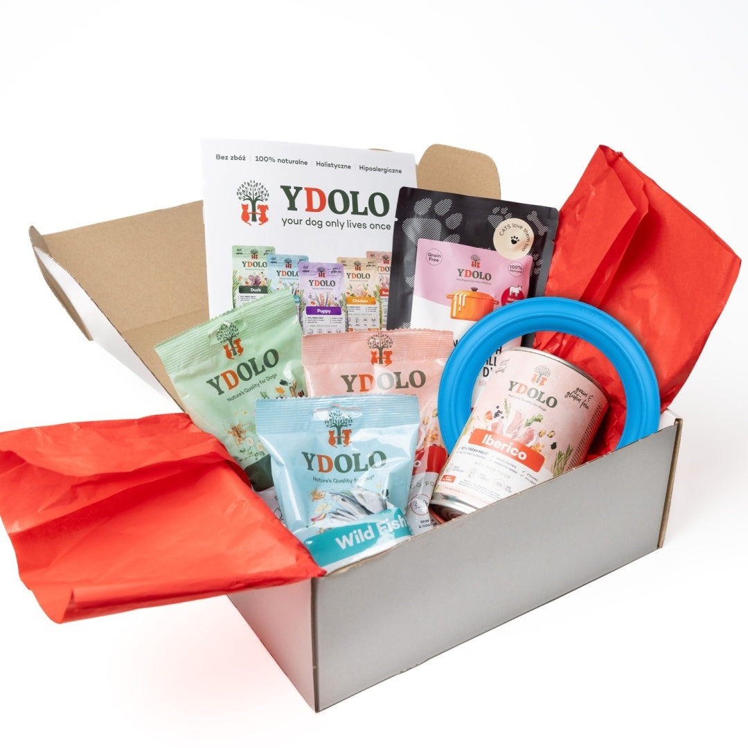 YDOLO BOX TESTOWY ADULT