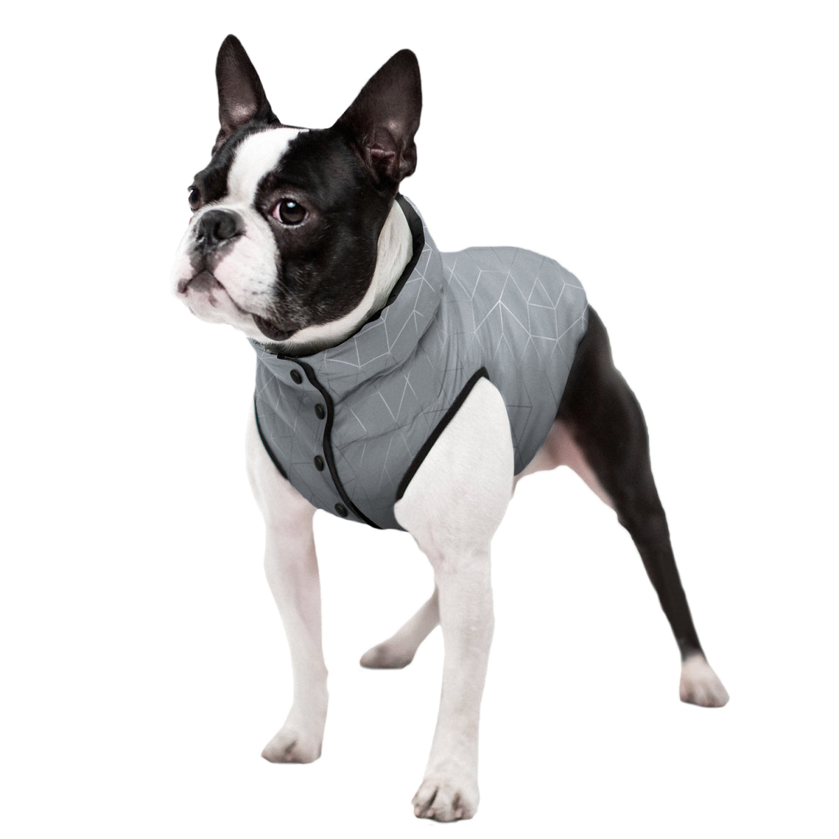 WAUDOG CLOTHES KURTKA POMARAŃCZE XS30