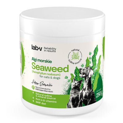 LAB V ALGI MORSKIE 250G
