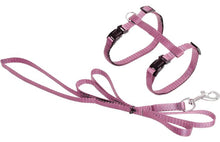 FLAMINGO CAT HARNESS WITH LEASH ZIGGI LIGHT PINK 22-36CM 27-46CM 110CM 10MM