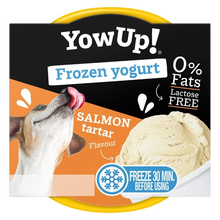 YOW UP! SALMON TARTAR FROZEN YOGURT JOGURT DO MROŻENIA O AROMACIE TATARA Z ŁOSOSIA 110G