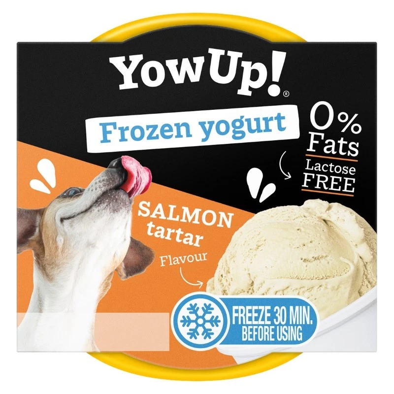 YOW UP! SALMON TARTAR FROZEN YOGURT JOGURT DO MROŻENIA O AROMACIE TATARA Z ŁOSOSIA 110G