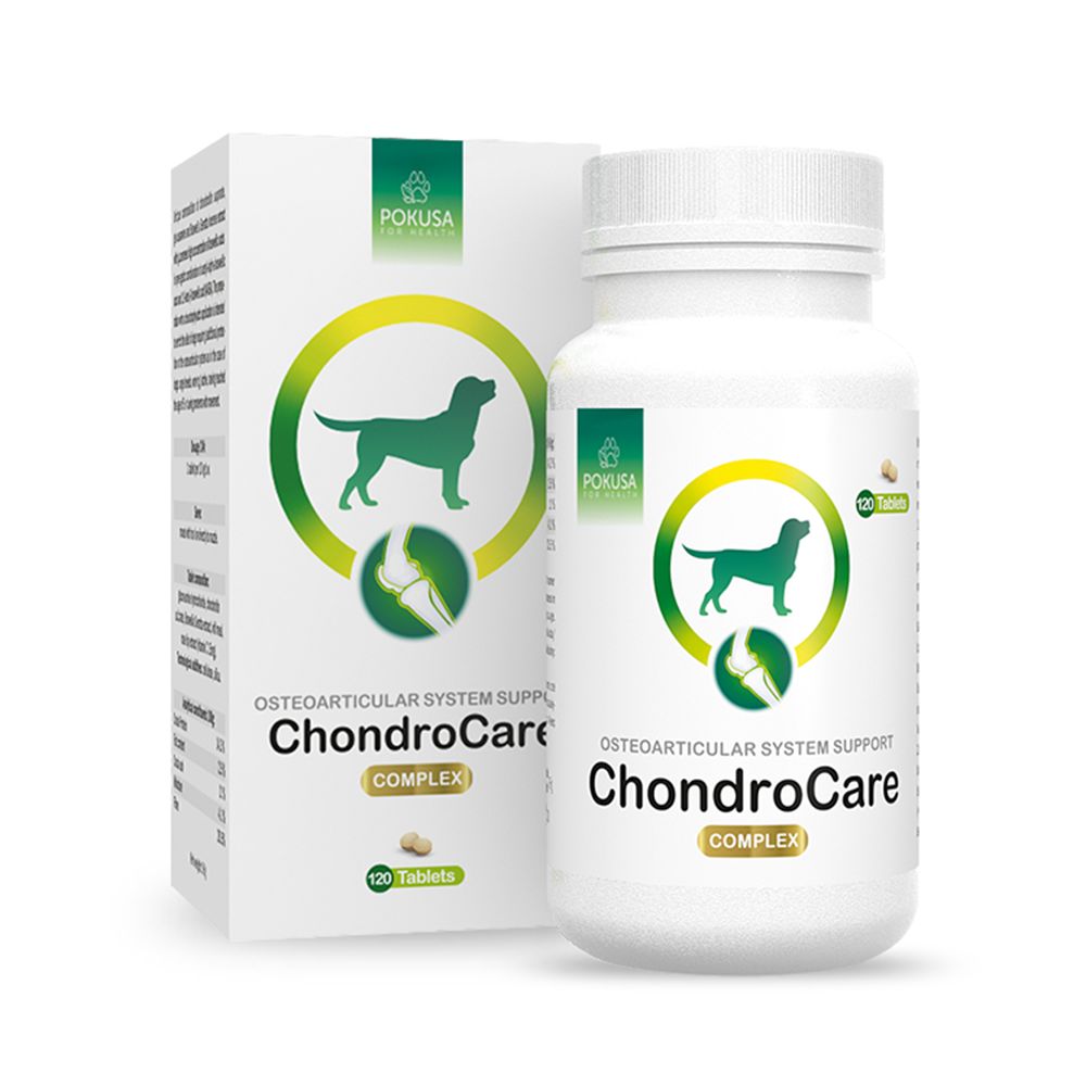 POKUSA CHONDROLINE CHONDROCARE 120 TABLETKI