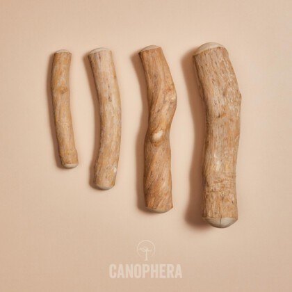 Canophera- Patyk z drzewa kawowego S Canophera- Patyk z drzewa kawowego S