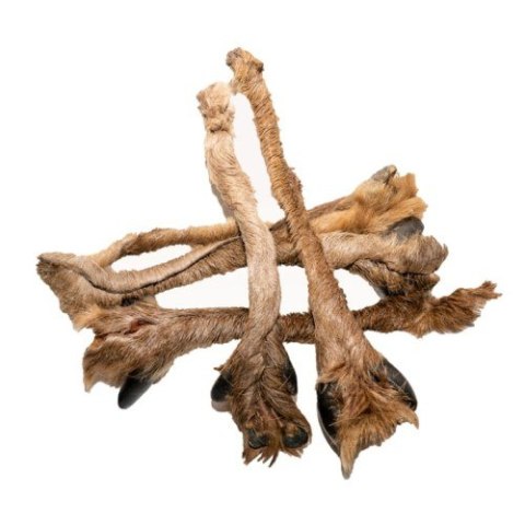 BALTO Skóra jelenia z racic, z futrem 250g BALTO Skóra jelenia z racic, z futrem 250g