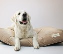 BIZIPETS Legowisko dla psa PREMIUM szare M BIZIPETS Legowisko dla psa PREMIUM szare M