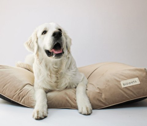 BIZIPETS Legowisko dla psa PREMIUM szare M BIZIPETS Legowisko dla psa PREMIUM szare M